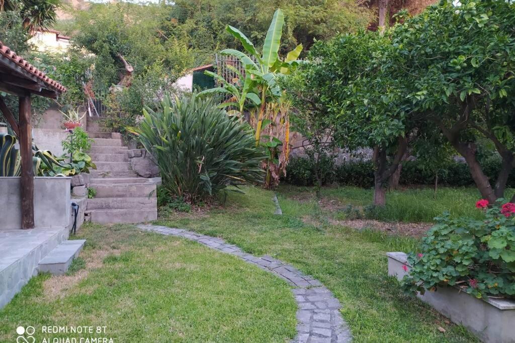Villa Relax On The Sea Pizzo  Exterior foto